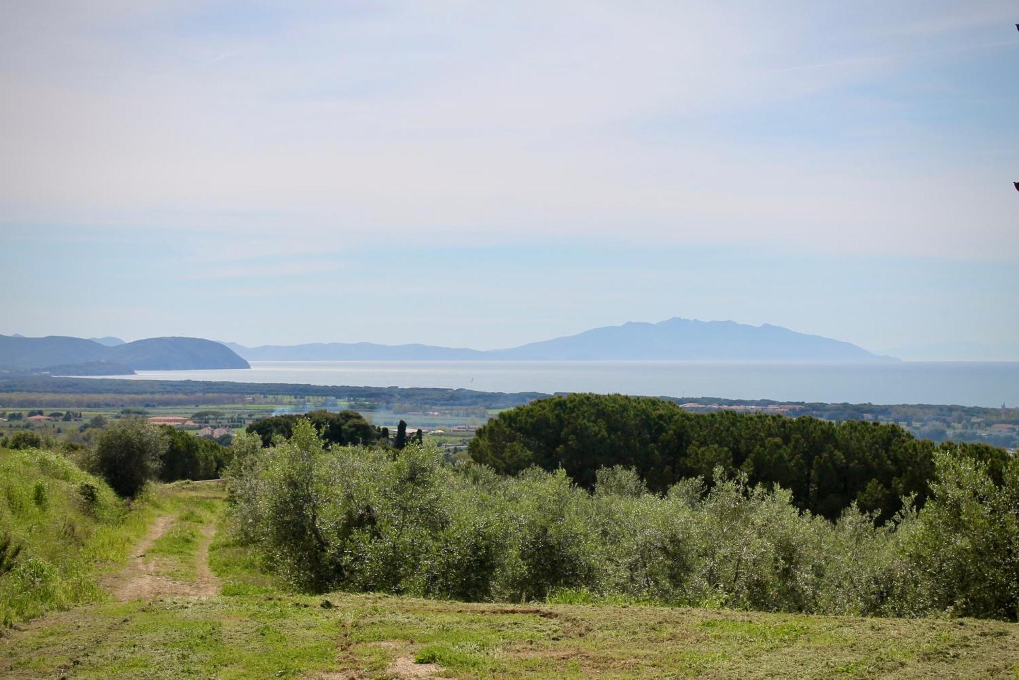 Agriturismo Suite Del Conte Сан Винченцо Екстериор снимка