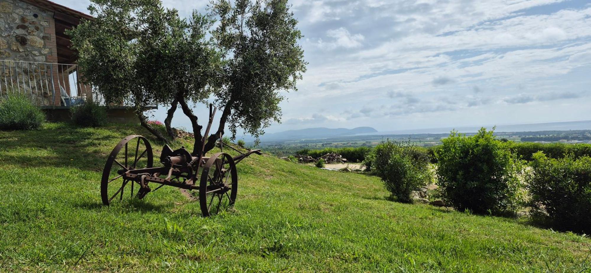 Agriturismo Suite Del Conte Сан Винченцо Екстериор снимка